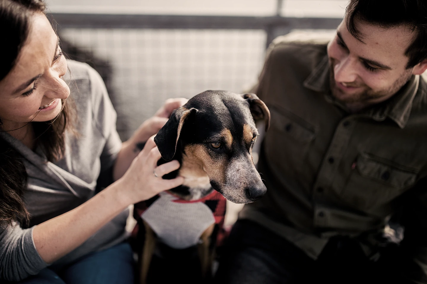 laimingas vyras ir moteris kartu su šunimi