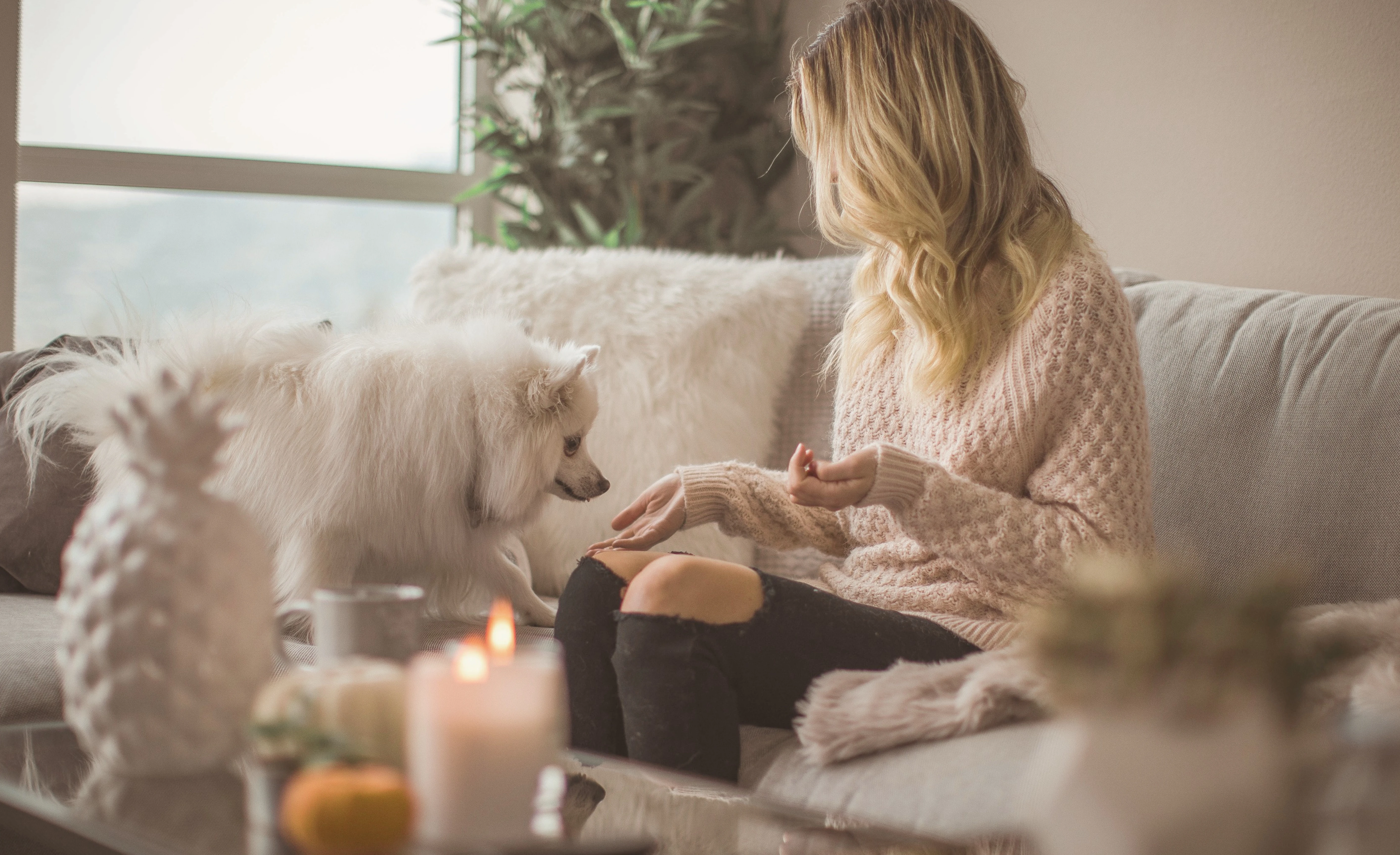 Moteris su šunimi sėdi ant sofos