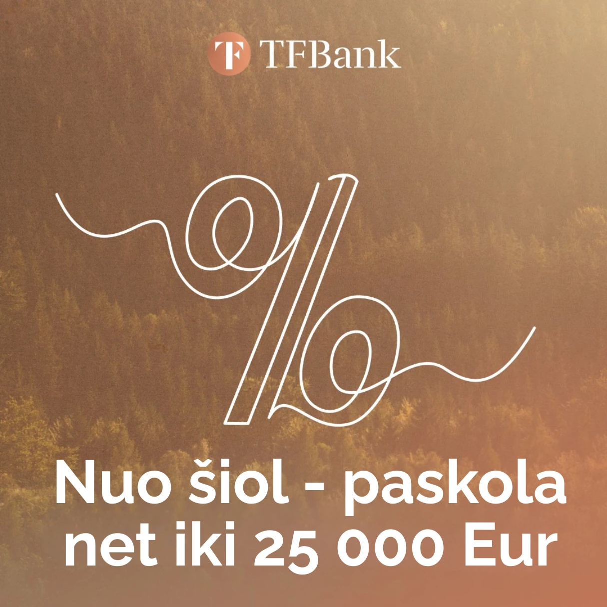 Paskola iki 25000 Eur
